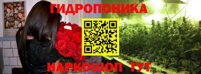 мяу мяу мука Гай