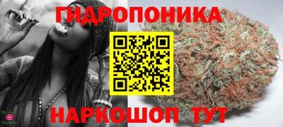 apvp Гатчина