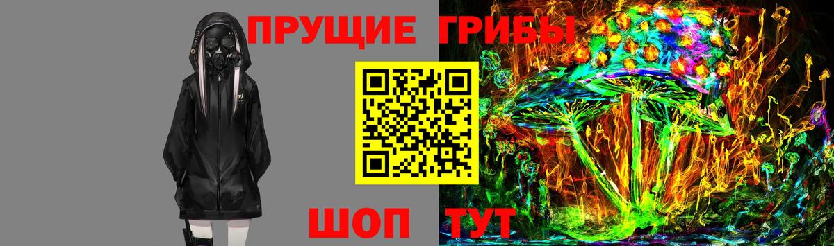 Псилоцибиновые грибы прущие грибы Ростов Великий