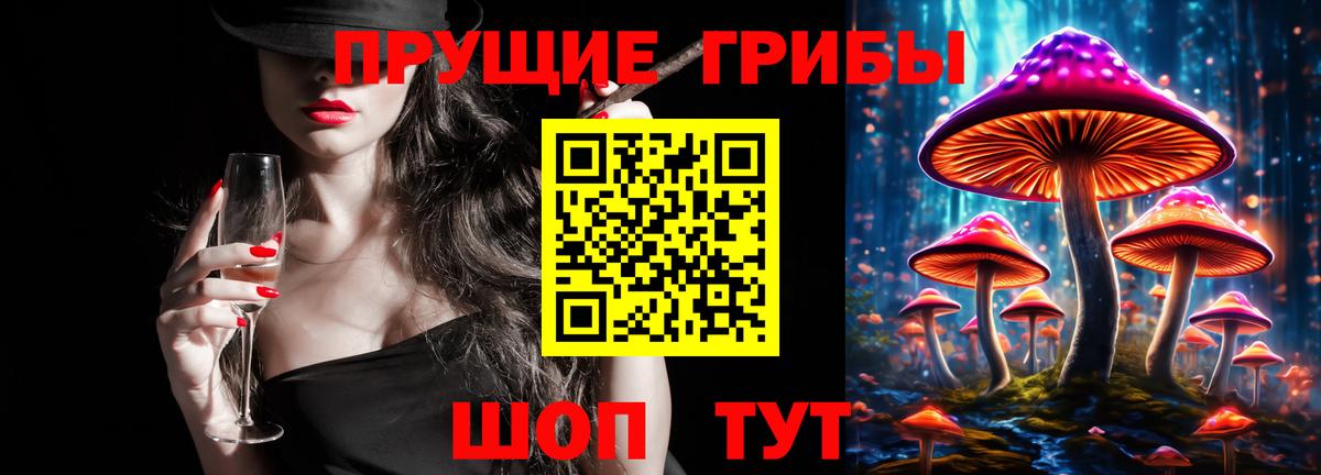 Галлюциногенные грибы Cubensis  Вход с VPN  Ростов Великий 